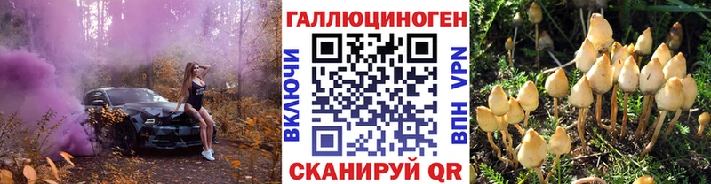 Псилоцибиновые грибы мухоморы blacksprut Воскресенск